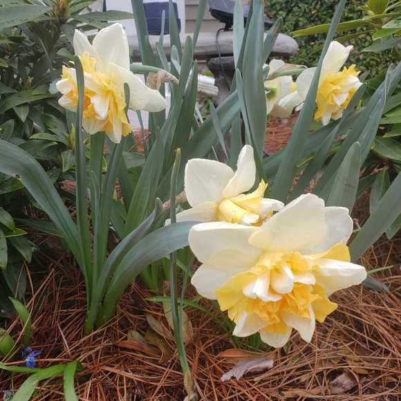 Meet your Posher, Mary - Picture 2 of 16